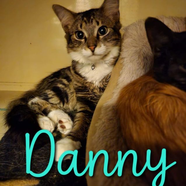 Photo of Danny