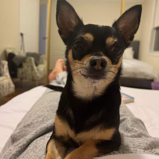 Photo of Mia