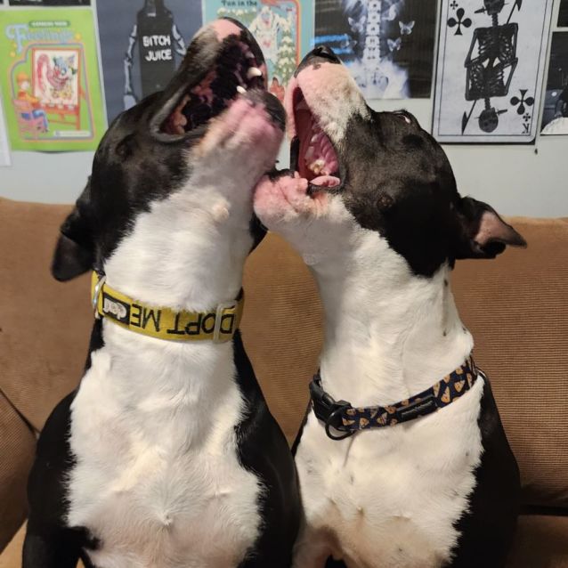 Photo of Jane And Thor