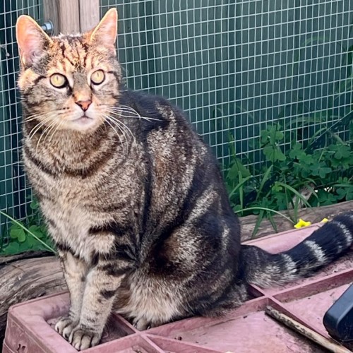 Jagger - Can transport to you 