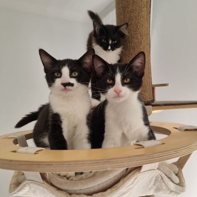 Photo of Monsieur Paul 💙