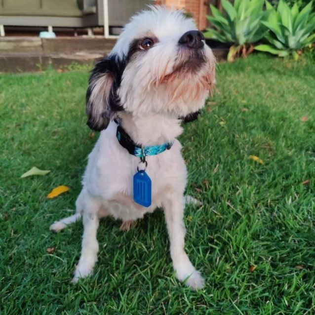 Photo of Benny And Charlie