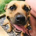 Photo of D833 Charlie