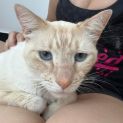 Photo of Snowy