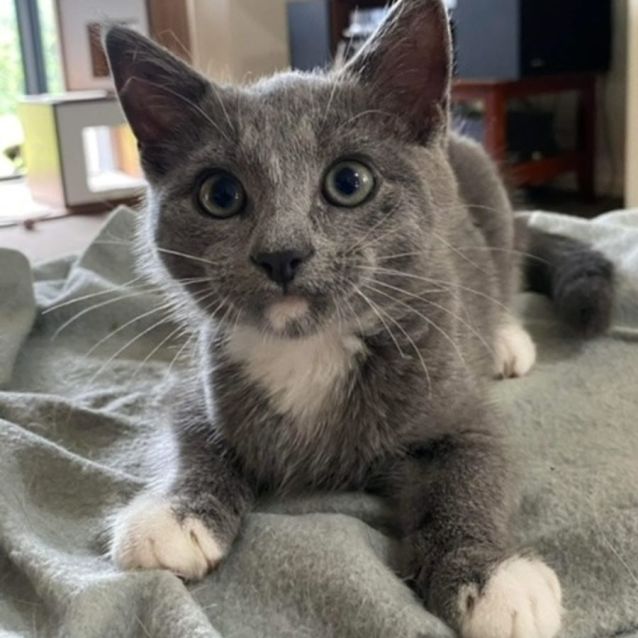 Photo of Steve