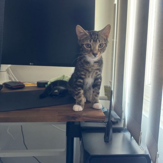 Photo of Lil Bernie