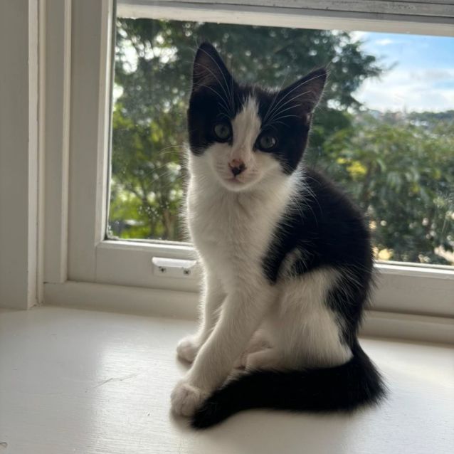 Photo of Maeve