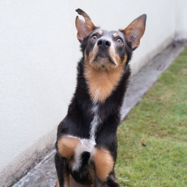 Photo of Darla 