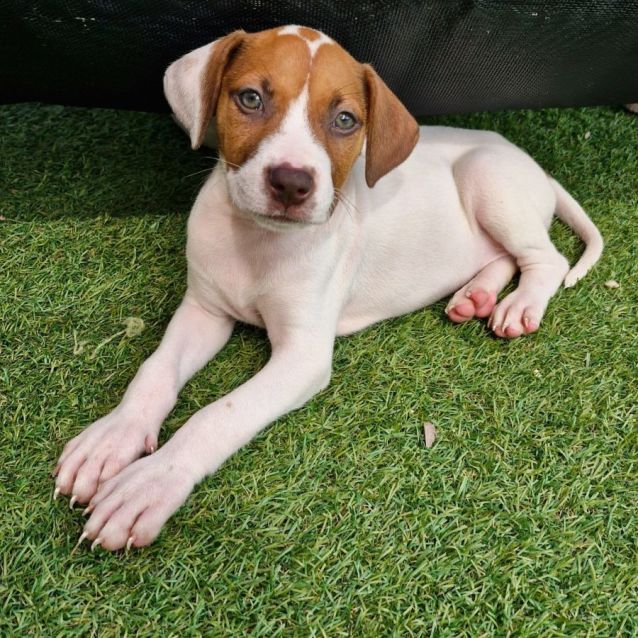 Photo of D957 Alaska