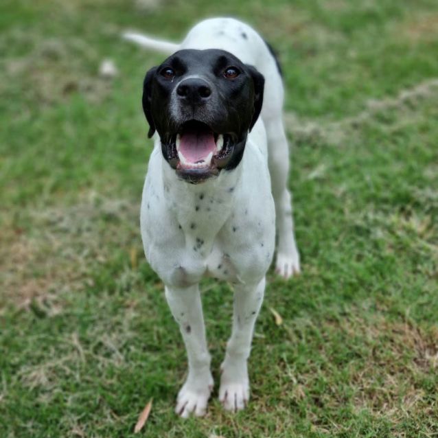 Photo of Pepsi