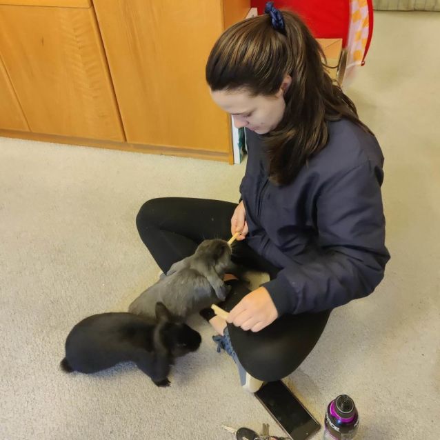 Photo of Valentino And Tulip