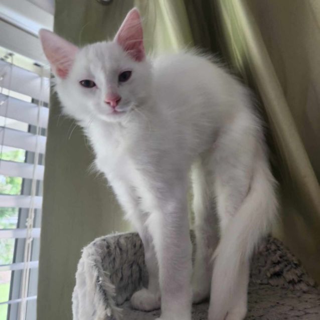 Photo of Bernie