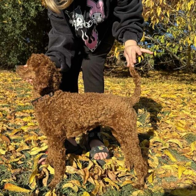 Photo of Charlie Bear