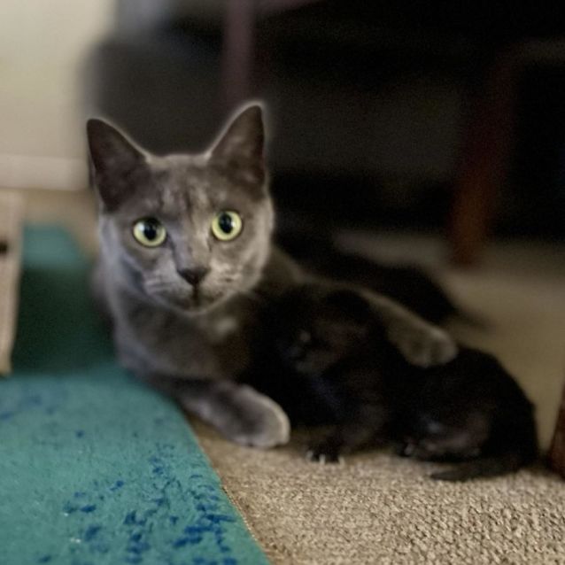 Photo of ⭐️ Stormy ⭐️