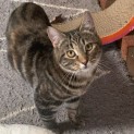 Photo of Annie