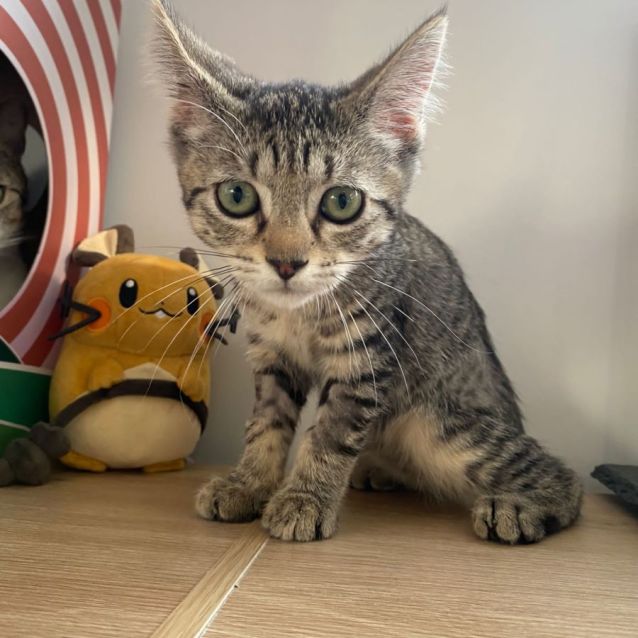 Photo of Mimi