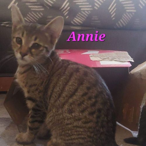 Annie