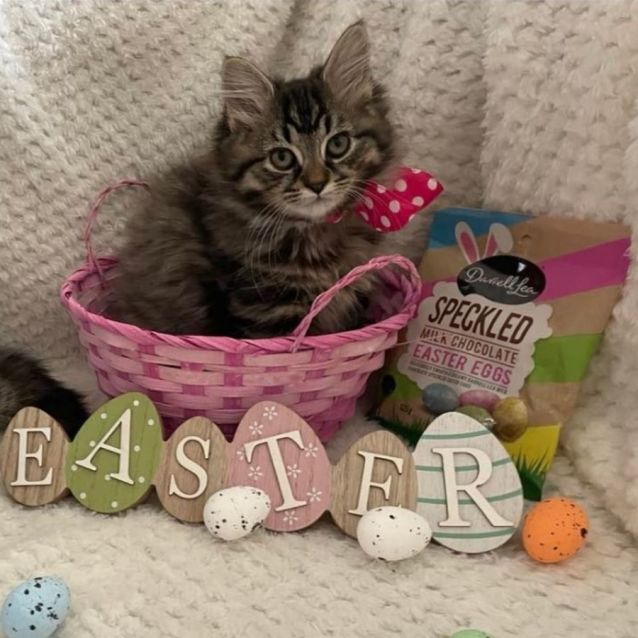 Photo of Mooni (Located In Edithvale)