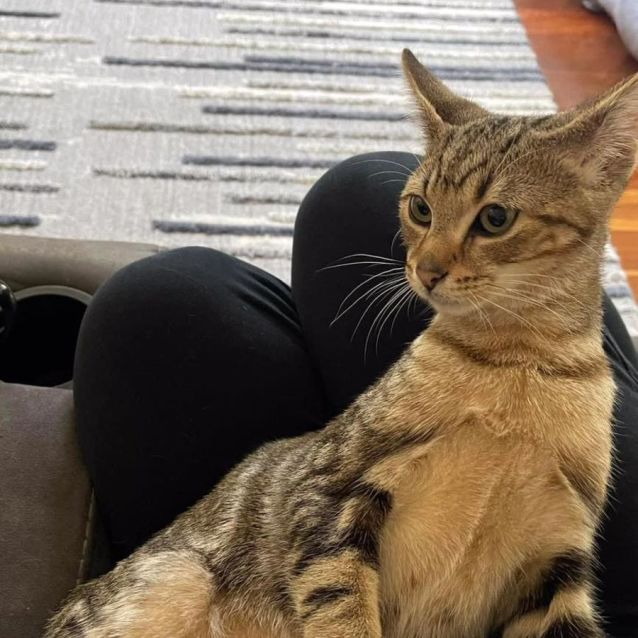 Photo of Bumi And Tenzin