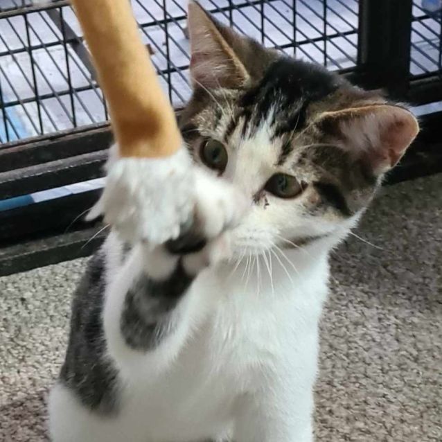 Photo of Jax