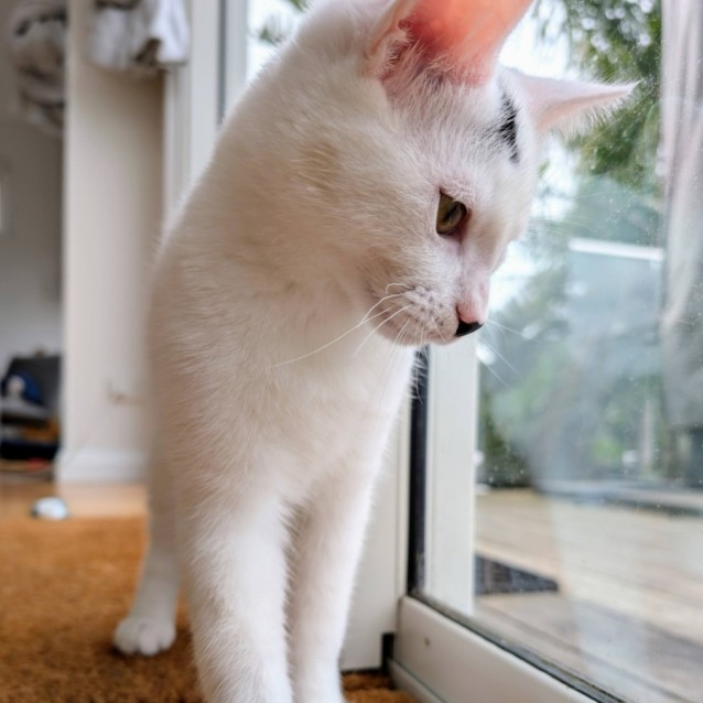 Photo of Fletcher 💙