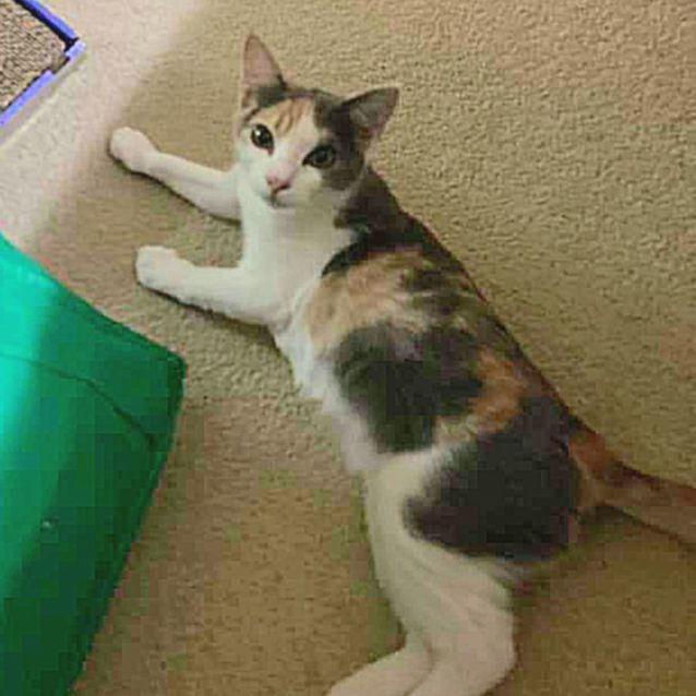 Photo of Amelia & Vera