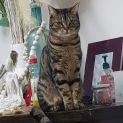 Photo of Carly