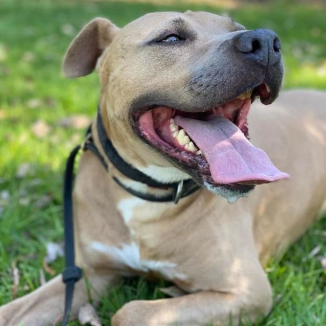 Photo of Theo Dl2545