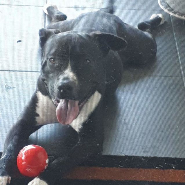 Photo of Jack