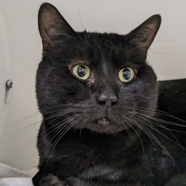 Photo of 🕶Lester 5195🕶