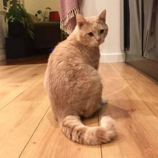 Photo of Baz 🧡