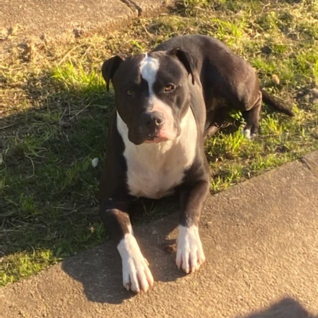Photo of Pablo ** Big Sook **