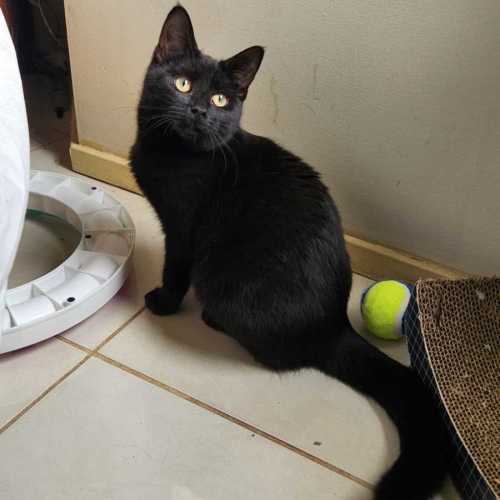 No photo for Patricia