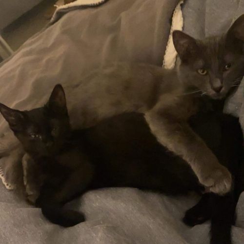 Pixie and Blair 
