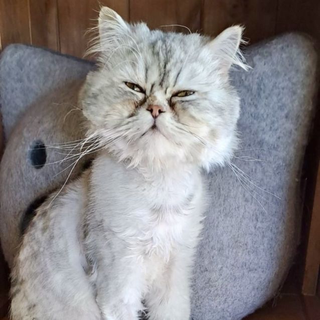 Photo of Jack
