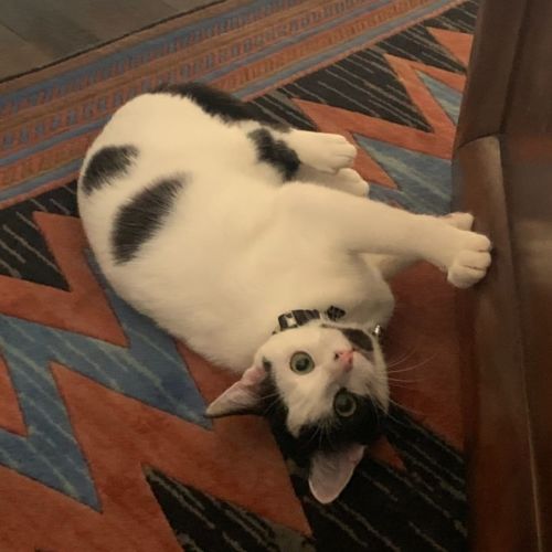 Minnie