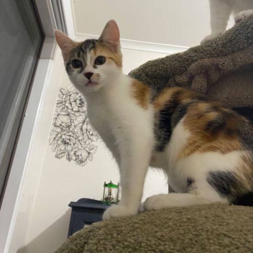 No photo for Aiko And Emiri 🌺💙