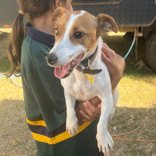 No photo for Sonny Jrt