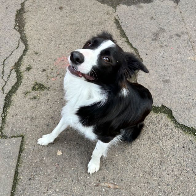 Photo of Splash