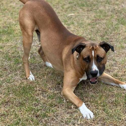 🎯 Kyzer 5551 🎯