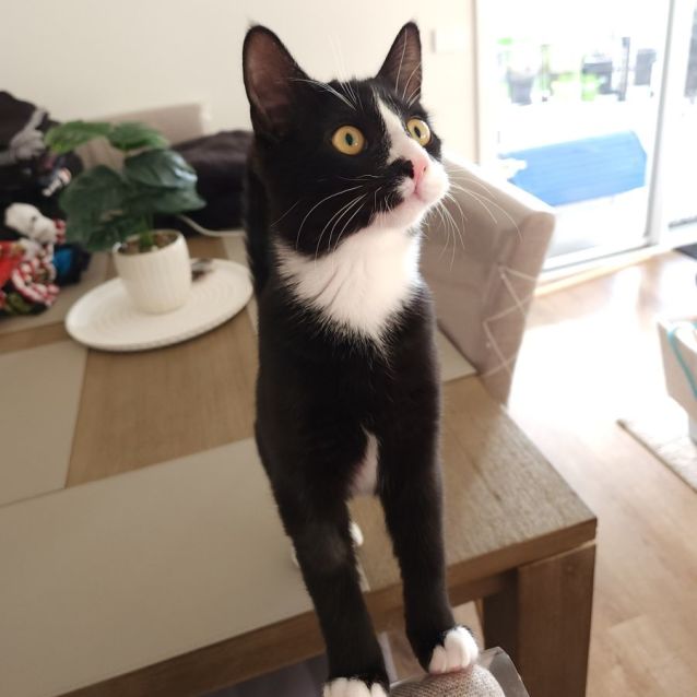 Photo of Squish And Shadow