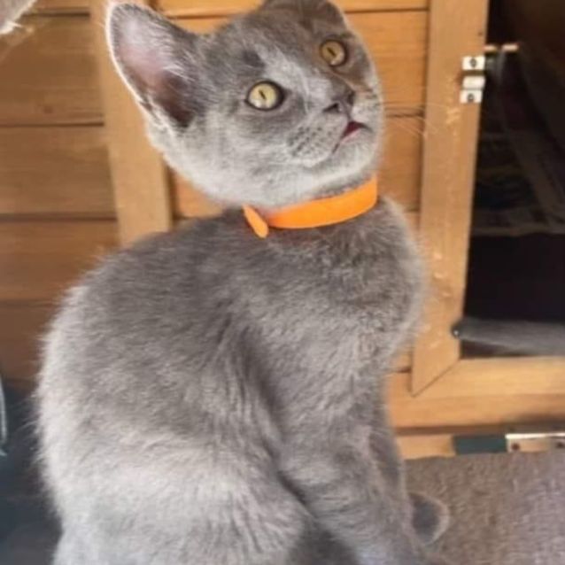 Photo of Spanky