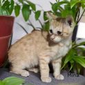 Photo of Mina