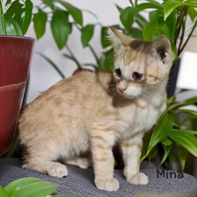 Photo of Mina