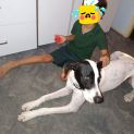 Photo of Ghost