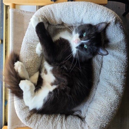 No photo for Dorothy