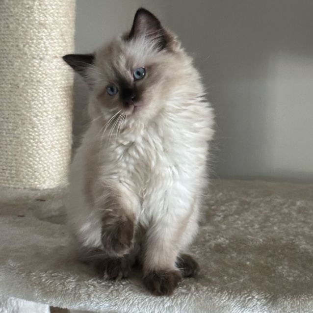 Photo of Willow ❤️🥰