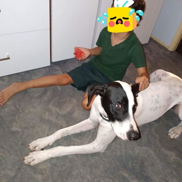 Photo of Ghost
