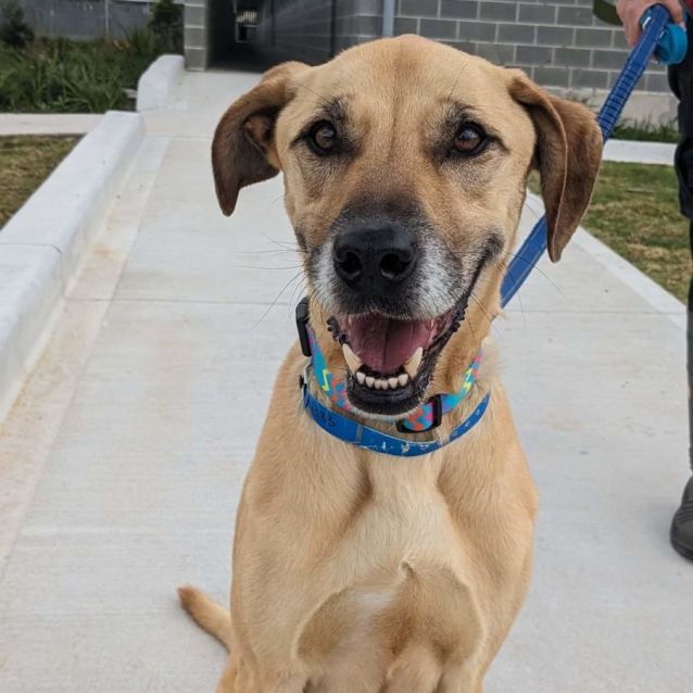 Photo of Calypso Imp 1383