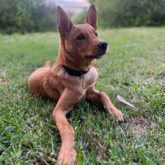 Photo of Baxteroo